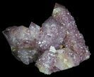 Dark Cactus Quartz (Amethyst) Cluster - South Africa #64245-1